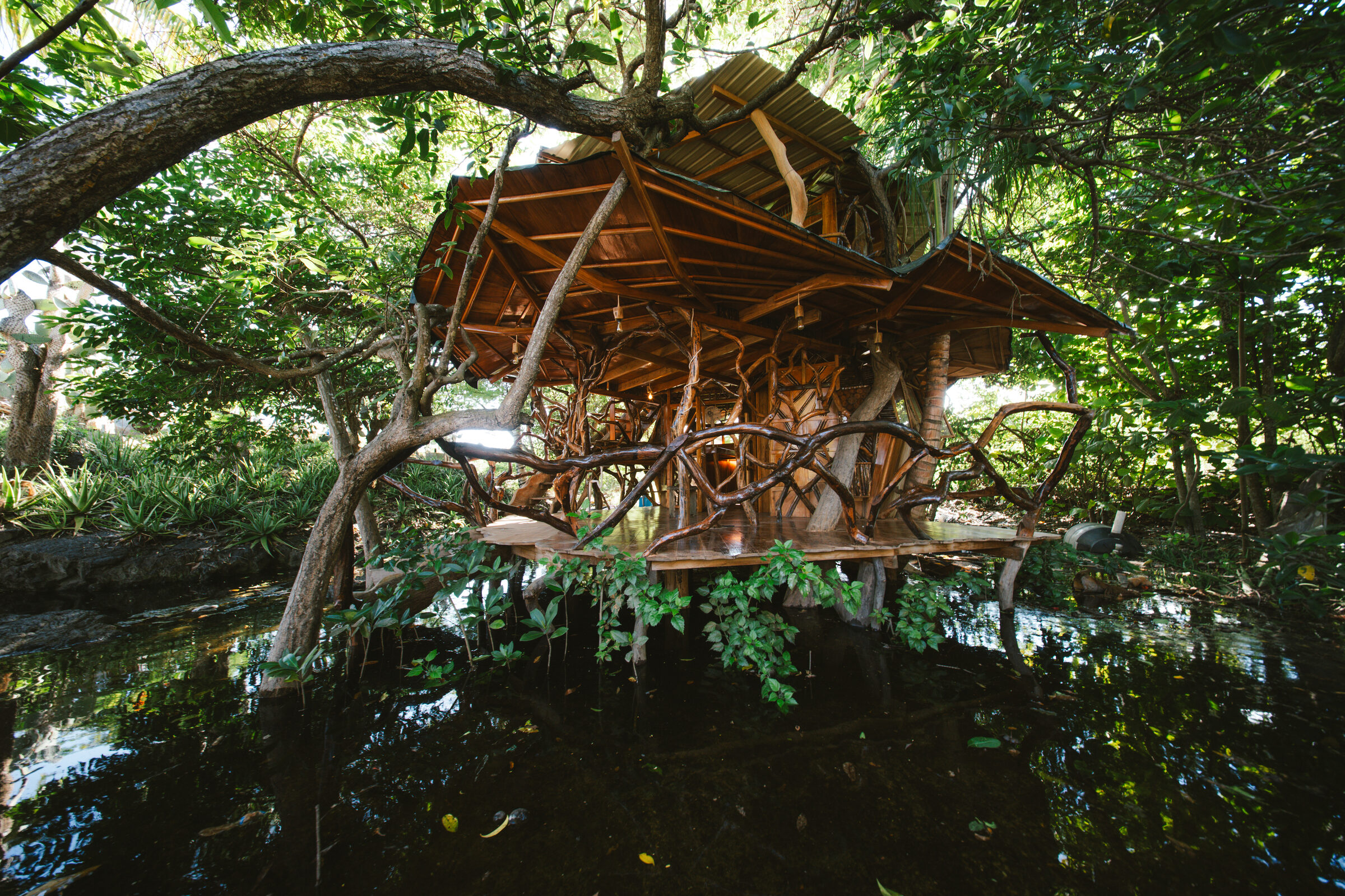Simbiosis Treehouse
