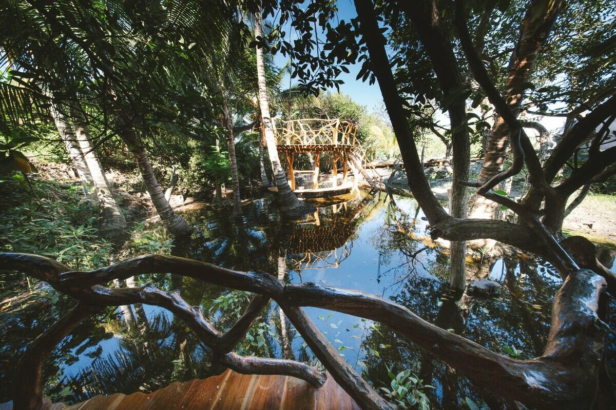 Treehouse reflection