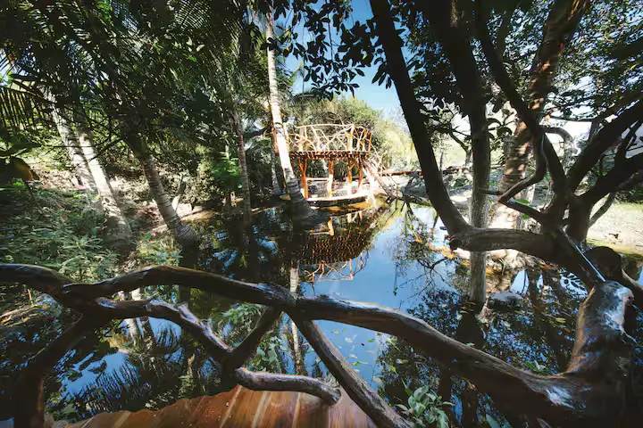 Simbiosis reflection pool