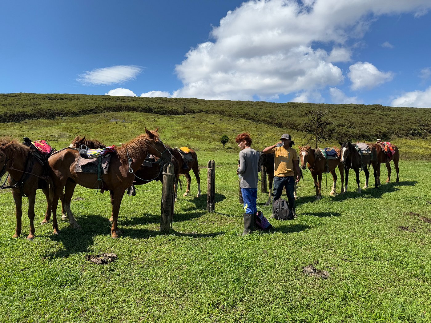 Horseback Riding