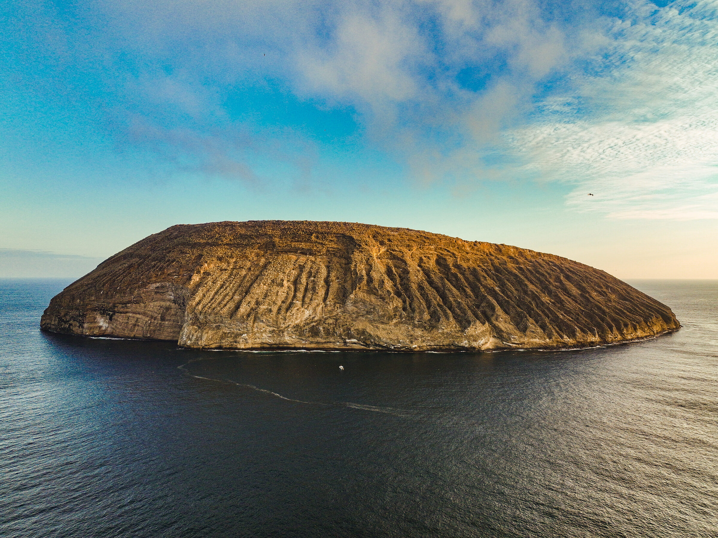 Liveaboard Diving in Galapagos