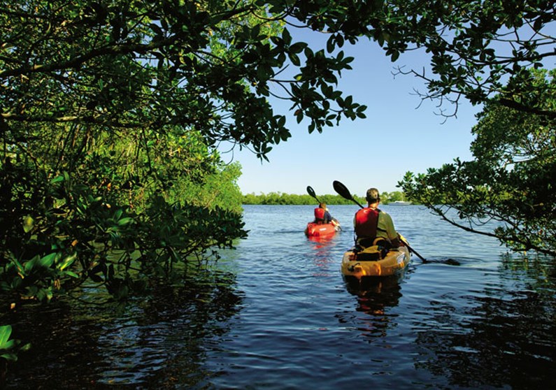 Kayak Bay Tour