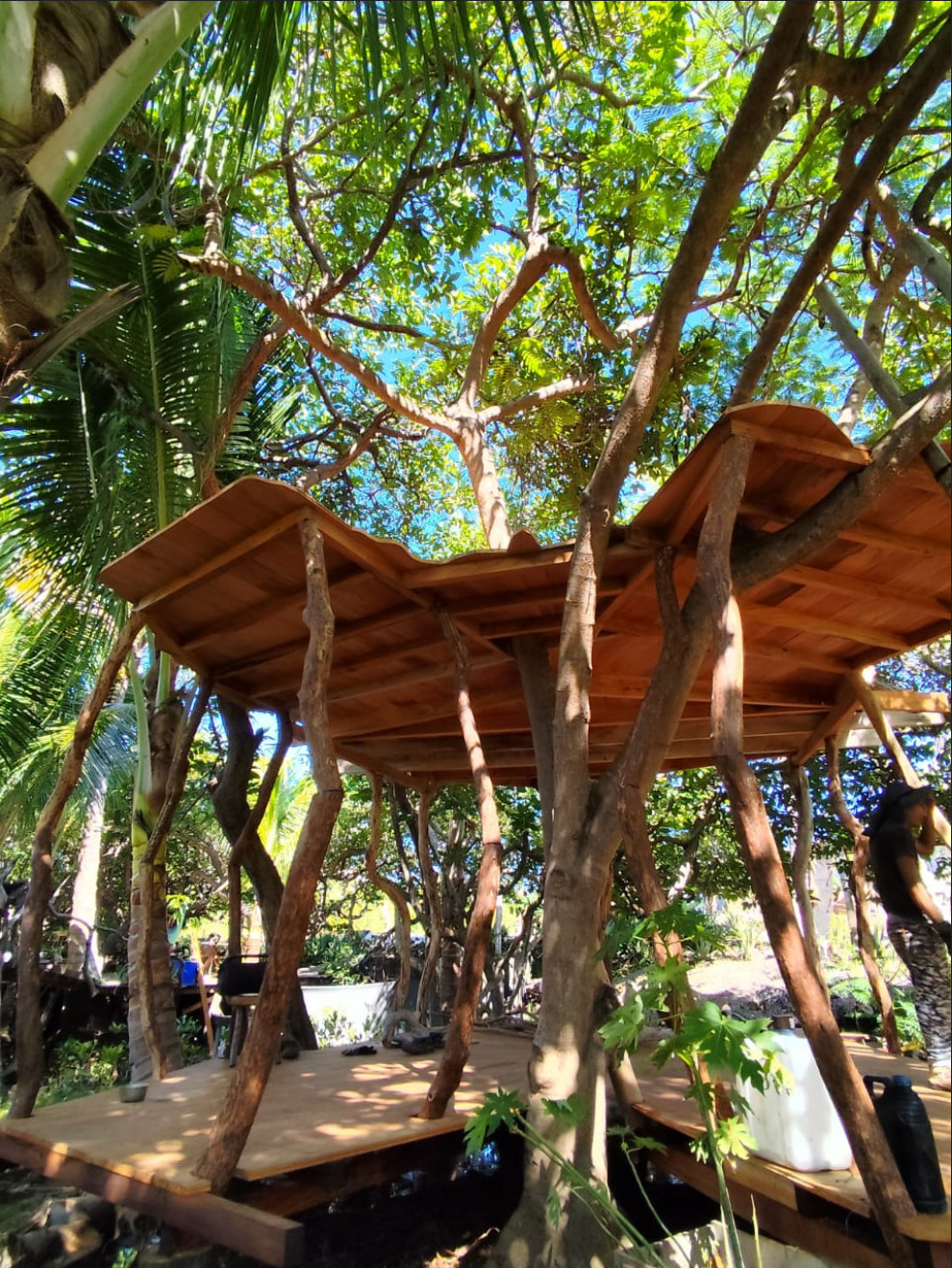 Simbiosis roof